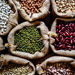 Pulses